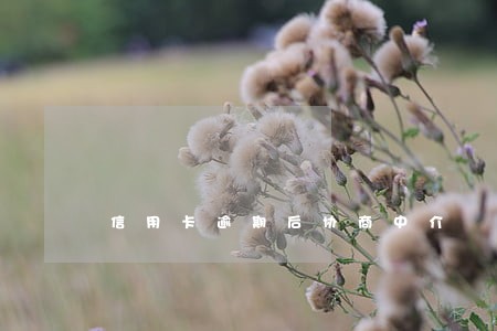信用卡逾期后协商中介