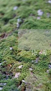 信用卡逾期后协商再分期有多难 信用卡逾期后协商再分期有多难