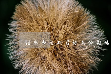 信用卡逾期后协商分期吗 信用卡逾期后协商分期吗