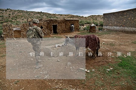 信用卡逾期后协商分期成功了 信用卡逾期后协商分期成功了