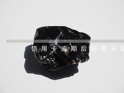 信用卡逾期后协商分期案例