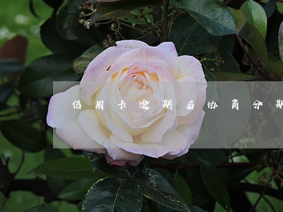 信用卡逾期后协商分期的问题 信用卡逾期后协商分期的问题