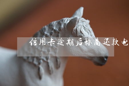 信用卡逾期后协商还款电话