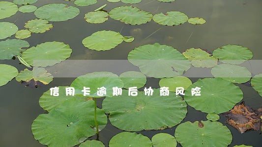 信用卡逾期后协商风险 信用卡逾期后协商风险