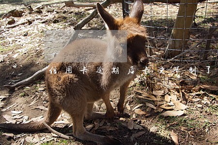 信用卡逾期后卡受限制了 信用卡逾期后卡受限制了