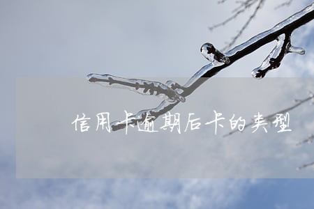 信用卡逾期后卡的类型 信用卡逾期后卡的类型