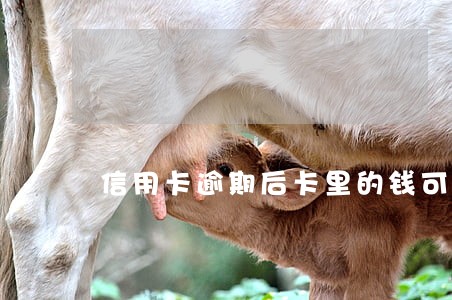 信用卡逾期后卡里的钱可以用吗 信用卡逾期后卡里的钱可以用吗