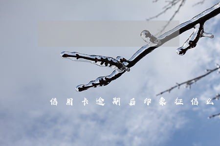 信用卡逾期后印象征信么