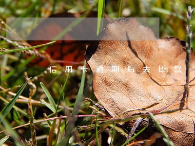 信用卡逾期后去还款 信用卡逾期后去还款