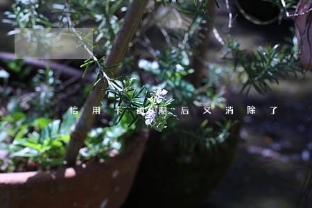 信用卡逾期后又消除了 信用卡逾期后又消除了