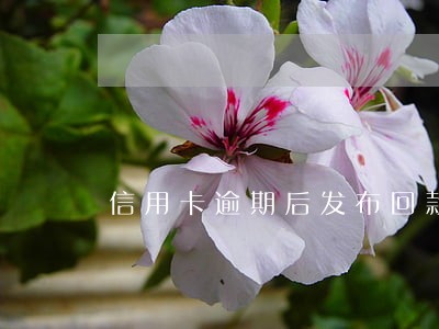 信用卡逾期后发布回款方案 信用卡逾期后发布回款方案
