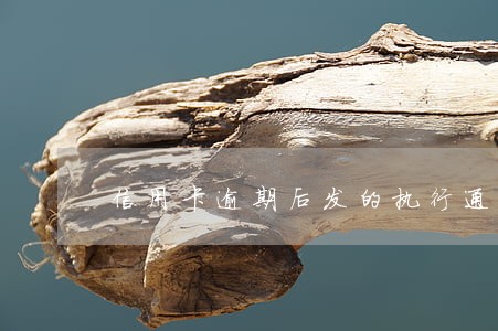 信用卡逾期后发的执行通知 信用卡逾期后发的执行通知