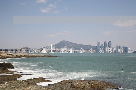 信用卡逾期后变成呆账怎么办 信用卡逾期后变成呆账怎么办
