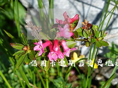 信用卡逾期后变更地址会上门吗 信用卡逾期后变更地址会上门吗