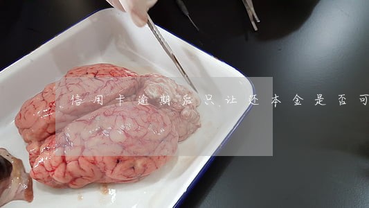 信用卡逾期后只让还本金是否可信 信用卡逾期后只让还本金是否可信