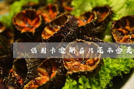 信用卡逾期后只还本金是真的吗 信用卡逾期后只还本金是真的吗