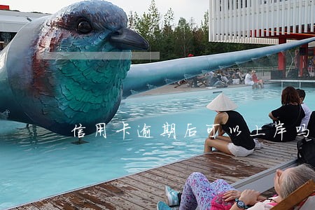 信用卡逾期后可以上岸吗