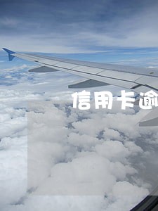 信用卡逾期后可以买二手车吗 信用卡逾期后可以买二手车吗