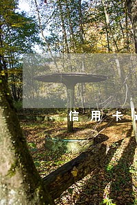 信用卡逾期后可以分期 信用卡逾期后可以分期