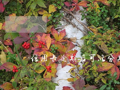 信用卡逾期后可以分期买车吗 信用卡逾期后可以分期买车吗