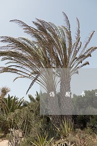 信用卡逾期后可以分期还 信用卡逾期后可以分期还