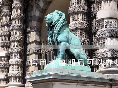 信用卡逾期后可以办护照吗 信用卡逾期后可以办护照吗