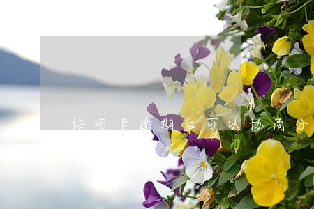 信用卡逾期后可以协商分期吗利息还会很多吗 信用卡逾期后可以协商分期吗利息还会很多吗