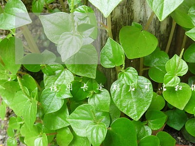 信用卡逾期后可以和银行协商吗 信用卡逾期后可以和银行协商吗