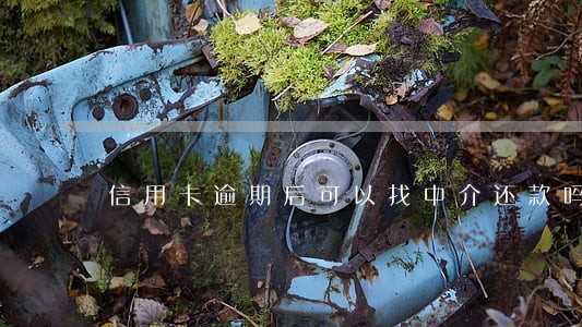 信用卡逾期后可以找中介还款吗