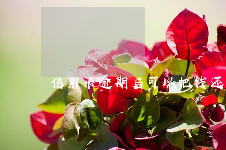 信用卡逾期后可以把钱还回来吗 信用卡逾期后可以把钱还回来吗