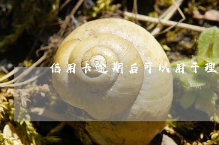 信用卡逾期后可以用于理财吗 信用卡逾期后可以用于理财吗