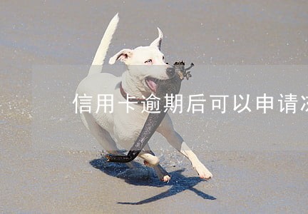 信用卡逾期后可以申请冻结吗