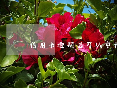 信用卡逾期后可以申请延期 信用卡逾期后可以申请延期