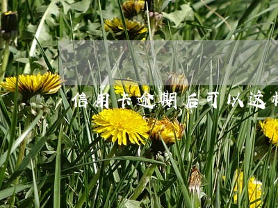 信用卡逾期后可以这样做 信用卡逾期后可以这样做