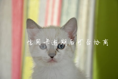 信用卡逾期后可否协商