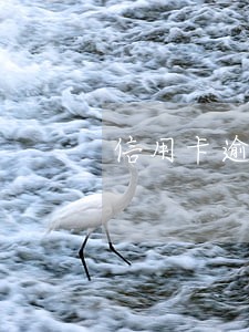 信用卡逾期后台会有记录吗