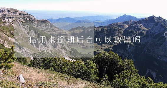 信用卡逾期后台可以取消吗 信用卡逾期后台可以取消吗