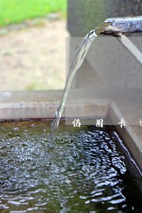 信用卡逾期后同银行协商不成功 信用卡逾期后同银行协商不成功