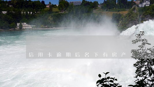信用卡逾期后名下有房产