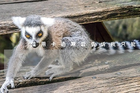 信用卡逾期后告诉我只能注销 信用卡逾期后告诉我只能注销