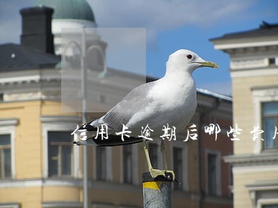 信用卡逾期后哪些费用