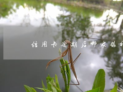 信用卡逾期后哪家银行还本金 信用卡逾期后哪家银行还本金