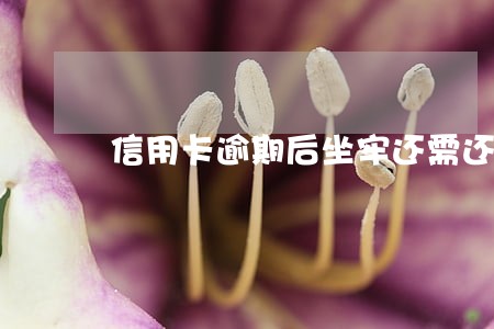 信用卡逾期后坐牢还需还钱吗 信用卡逾期后坐牢还需还钱吗