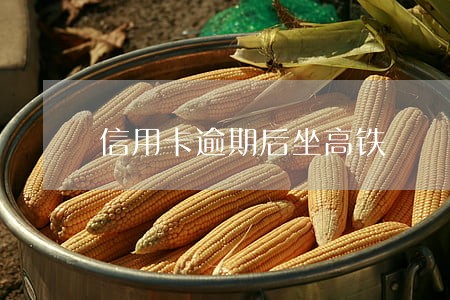 信用卡逾期后坐高铁 信用卡逾期后坐高铁