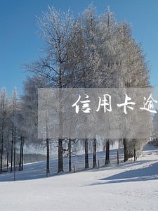 信用卡逾期后处理需要多久