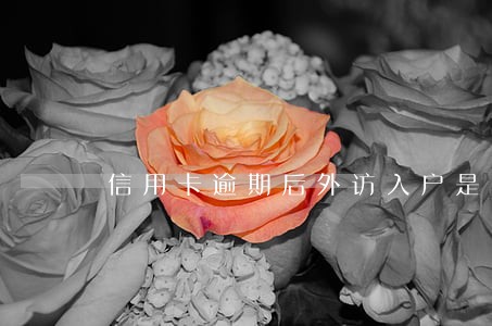 信用卡逾期后外访入户是啥情况 信用卡逾期后外访入户是啥情况
