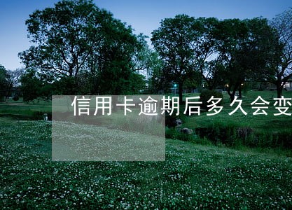 信用卡逾期后多久会变成呆帐 信用卡逾期后多久会变成呆帐