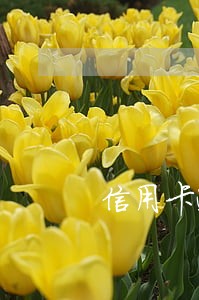 信用卡逾期后多久会打电话