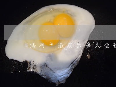 信用卡逾期后多久会被催收