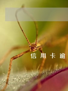 信用卡逾期后多久会违还